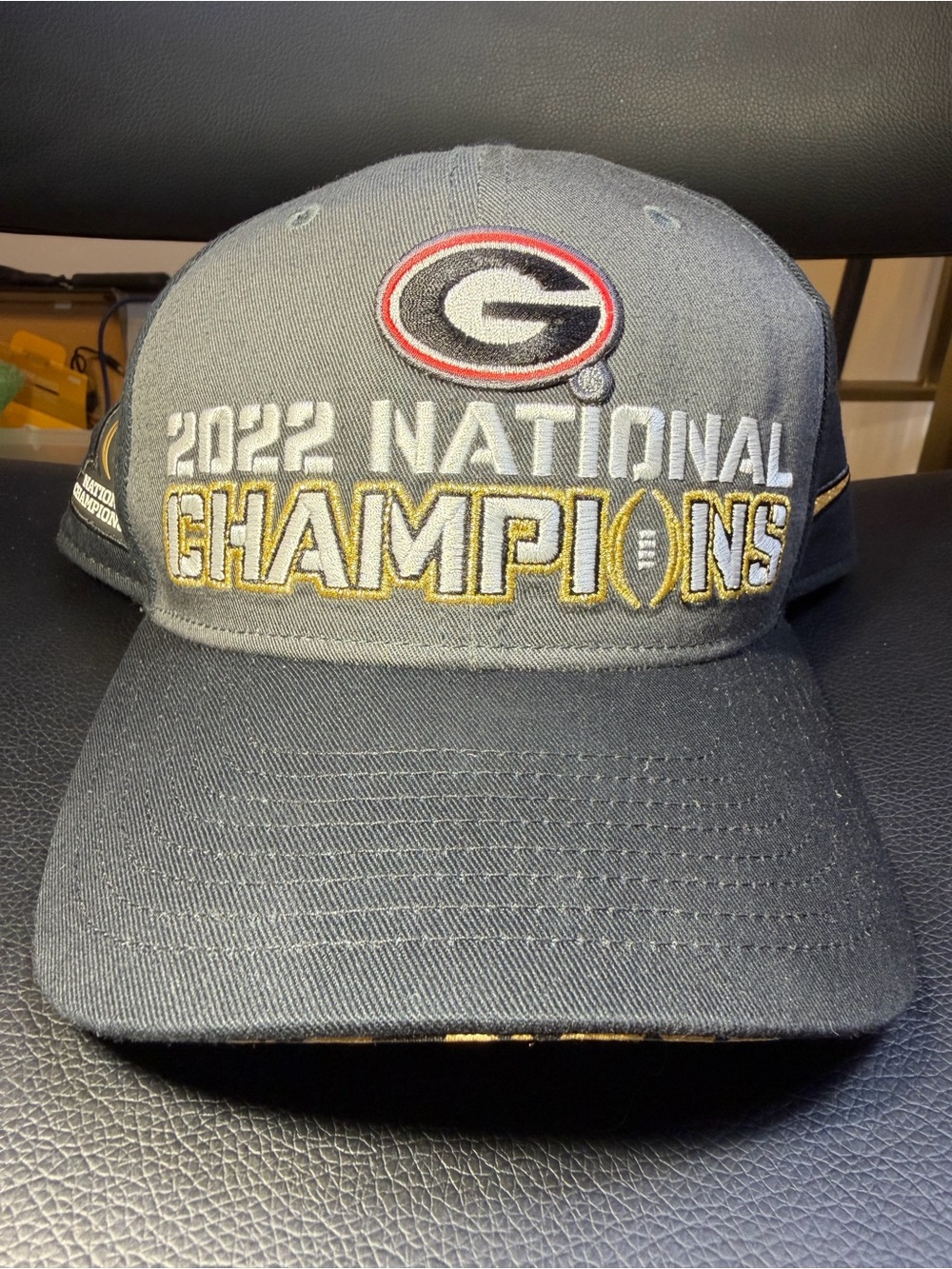 Nike Georgia 2022 National Champions Gray Embroidered Cap